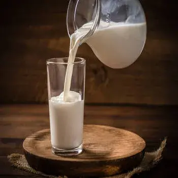 milk_protein 1-1340812-91613.webp